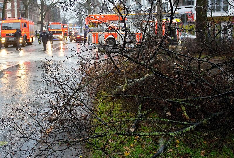 Die Reste eines umgestürtzen Baums liegen in Hamburg am Straßenrand - die Feuerwehr ist im Dauereinsatz.