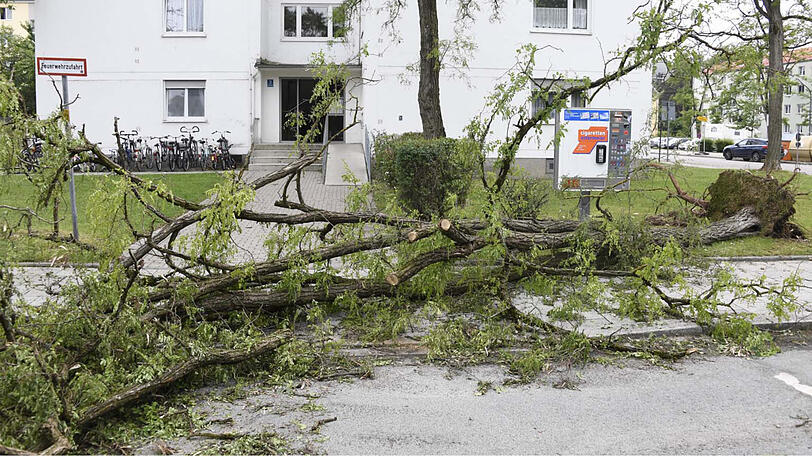 Nach dem Unwetter vom Pfingstmontag liegt ein  Baum auf der Straße. (Archivbild)