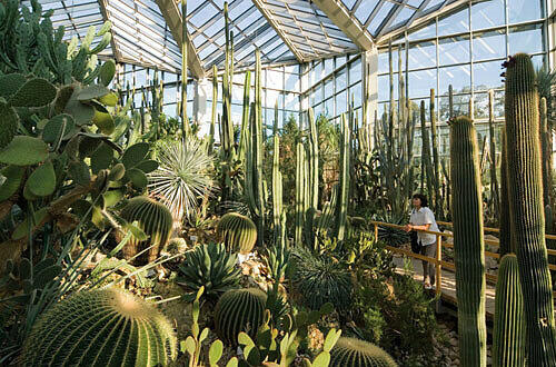 Palmengarten Frankfurt, Foto: DZT