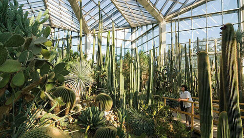 Palmengarten Frankfurt, Foto: DZT Palmengarten Frankfurt, Foto: DZT