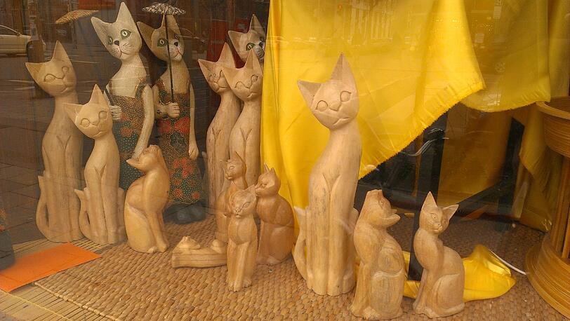 Starren aus dem Schaufenster: Katzen in der Brienner Straße.