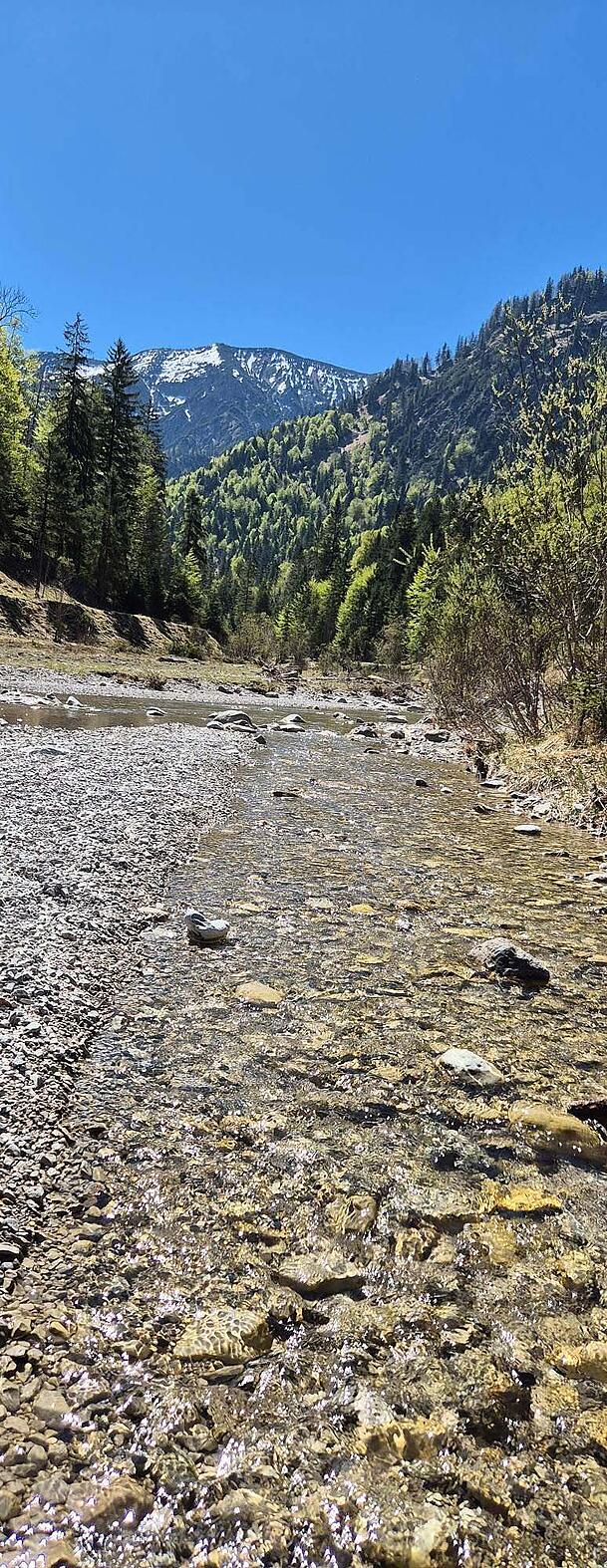 Wanderung am Ufer des Gebirgsbaches: die Hofbauernweißach. Wanderung am Ufer des Gebirgsbaches: die Hofbauernweißach.