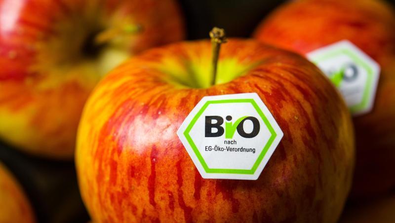 Äpfel mit Bio-Siegel. Bio ist zurzeit einer der größten Wachstumsträger im Lebensmittelhandel.