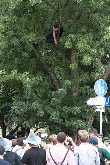 Da legst di nieder! Aber bitte nicht in der Baumkrone! Dieser Wiesn-Freund ist tatsächlich auf einen Baum gekraxelt, um seinen Rausch auszuschlafen...