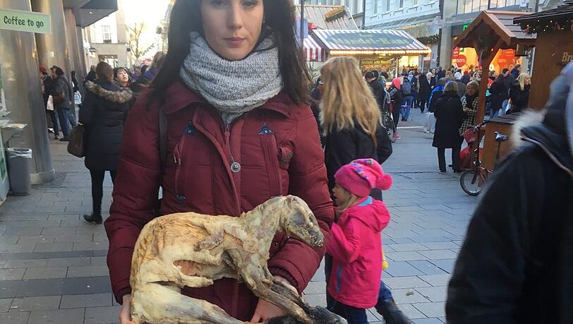 Protest der „Soko Tierschutz“ in der Fußgängerzone. Das Bild auf dem Plakat zeigt einen Marderhund. Protest der „Soko Tierschutz“ in der Fußgängerzone. Das Bild auf dem Plakat zeigt einen Marderhund.