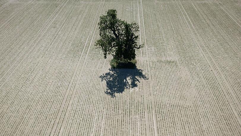 Weite Teile Europas leiden seit Jahren unter zunehmender Wasserknappheit. (Archivbild)
