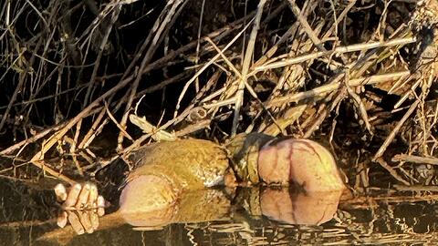 Gl&uuml;cklicherweise stellte sich der Fund schnelle als Spielzeugpuppe und nicht als Kinderleiche heraus.