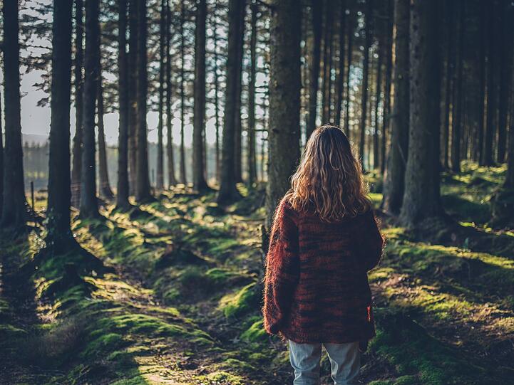 Denn ohne vorgegebene Strecke wird sich möglichst langsam beim Waldbaden fortbewegt, um Eindrücke in Ruhe wirken zu lassen und generell zu entschleunigen. Denn ohne vorgegebene Strecke wird sich möglichst langsam beim Waldbaden fortbewegt, um Eindrücke in Ruhe wirken zu lassen und generell zu entschleunigen.