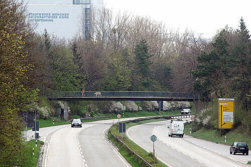 Tatort Effnerstraße: Von dieser Brücke warf ein Unbekannter einen Stein.