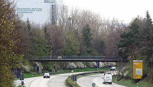 Tatort Effnerstraße: Von dieser Brücke warf ein Unbekannter einen Stein. Tatort Effnerstraße: Von dieser Brücke warf ein Unbekannter einen Stein.