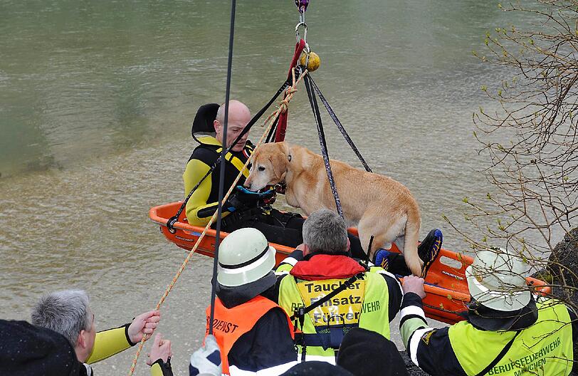 4. April: Golden-Retriever-Hündin Honey fällt beim Spielen an der Maximiliansbrücke in die Isar und wird von der Strömung mitgerissen.