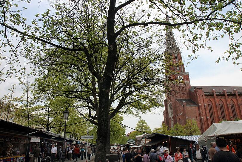 In der Mariahilfkirche findet das traditionelle Straußbinden statt. (Archivbild)
