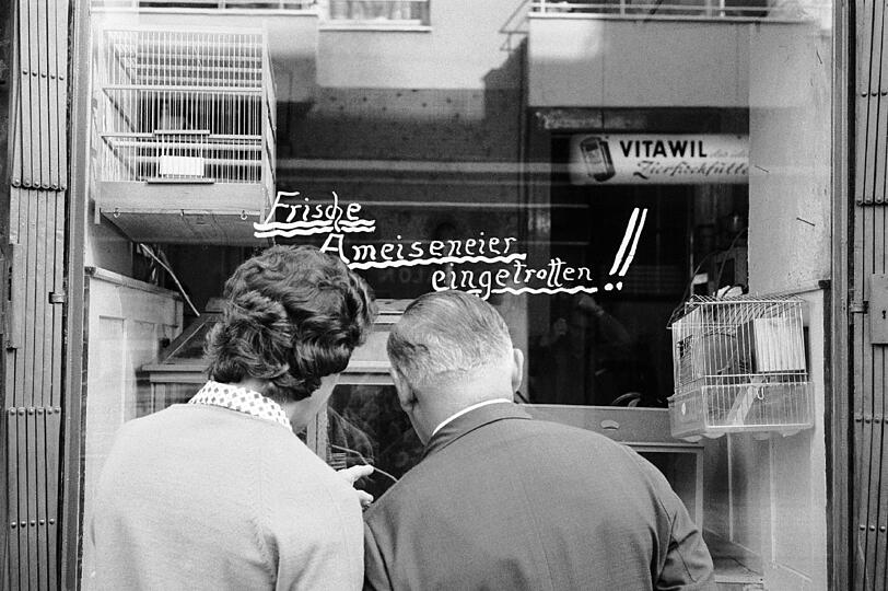 Neue Lieferung: Das Schaufenster eines Tier-Geschäfts.