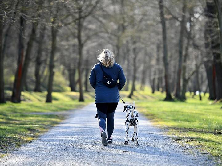 Eine Frau geht im thüringischen Sondershausen mit einem Hund im Park spazieren.
