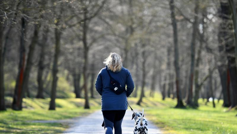 Eine Frau geht im thüringischen Sondershausen mit einem Hund im Park spazieren. Eine Frau geht im thüringischen Sondershausen mit einem Hund im Park spazieren.