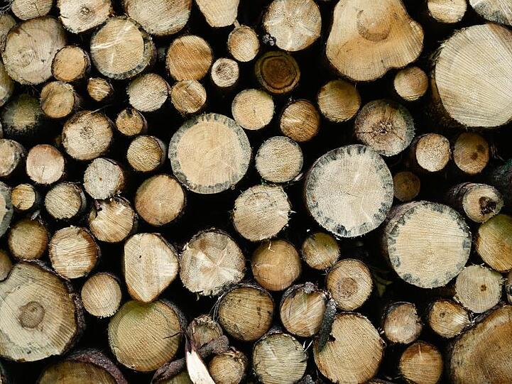 Gefällte Bäume: Dem deutschen Wald geht es miserabel.