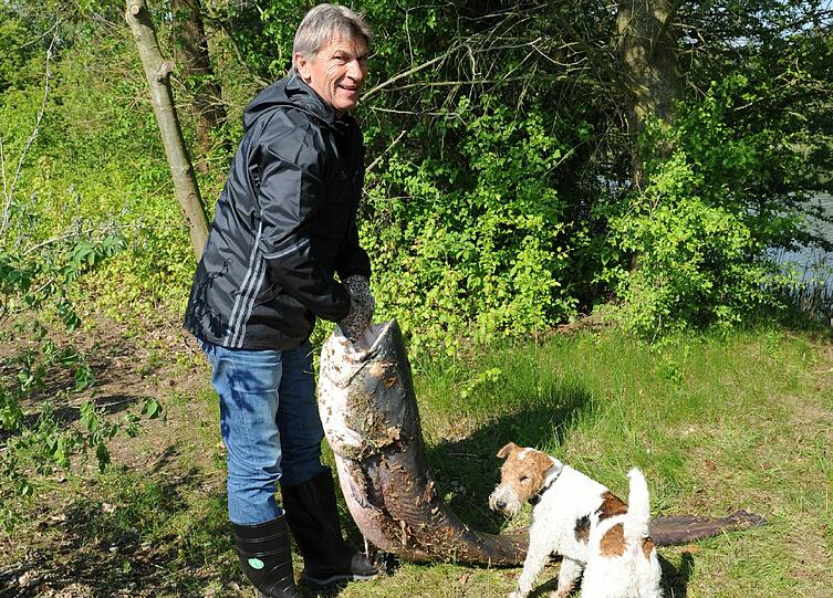Klaus Augenthaler mit dem Waller. Geschossen hat das Foto sein Angler-Freund, der Unternehmer Rupert Heider.