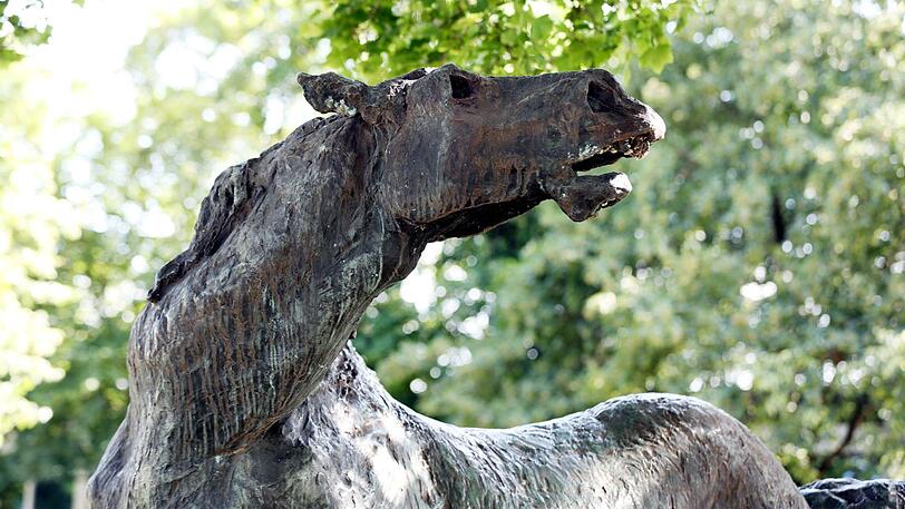 Zum Wiehern! Dieses wilde Pferd von Alexander Fischer, steht &ndash; durch den Bauzaun an Berufsschule &ndash; fast ein bisserl wie auf einer Koppel.