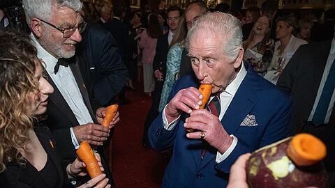 König Charles musiziert auf einer Karottenflöte.