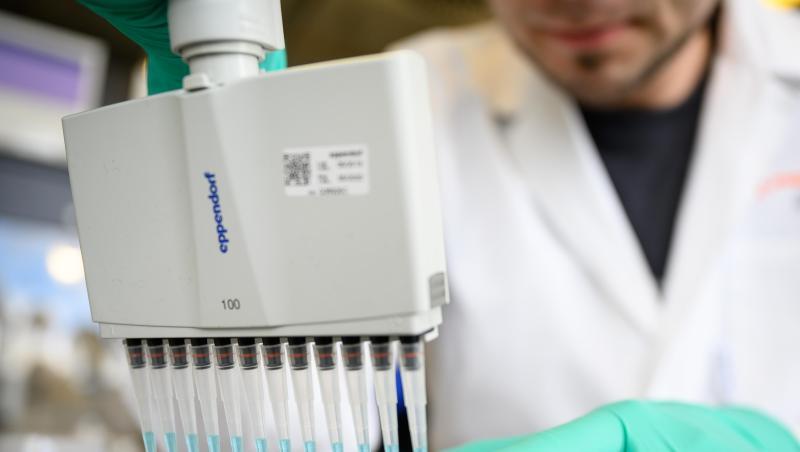 Suche nach einem Impfstoff: Ein Mann pipettiert in einem Labor des biopharmazeutischen Unternehmens Curevac eine blaue Flüssigkeit. Suche nach einem Impfstoff: Ein Mann pipettiert in einem Labor des biopharmazeutischen Unternehmens Curevac eine blaue Flüssigkeit.