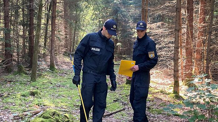 Im September 2023 wird die Polizei den Perlacher Forst erneut nach Hinweisen auf die vermisste Person durchsuchen.