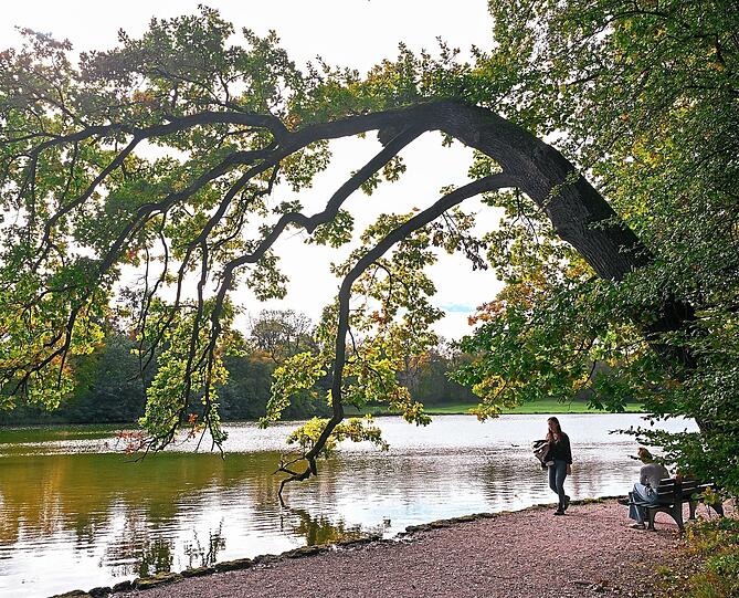 Der Schlosspark in Nymphenburg ist zu jeder Jahreszeit schön. Im Herbst aber hat der Park, der übrigens Anfang des 19. Jahrhunderts vom Barockgarten zum Landschaftsgarten umgestaltet wurde, einen besonderen verwunschenen Zauber.