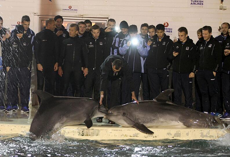 Für die Löwen ging's am Mittwoch noch tierisch zu: Im Delfinarium durften sie mit Flipper & Co. eine Runde schwimmen.