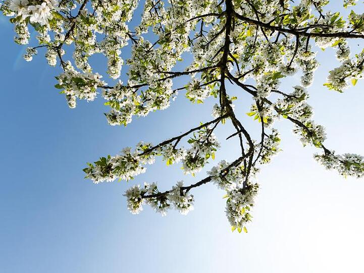 In weiten Teilen des Landes sollen die Osterfeiertage sonnig und warm werden.