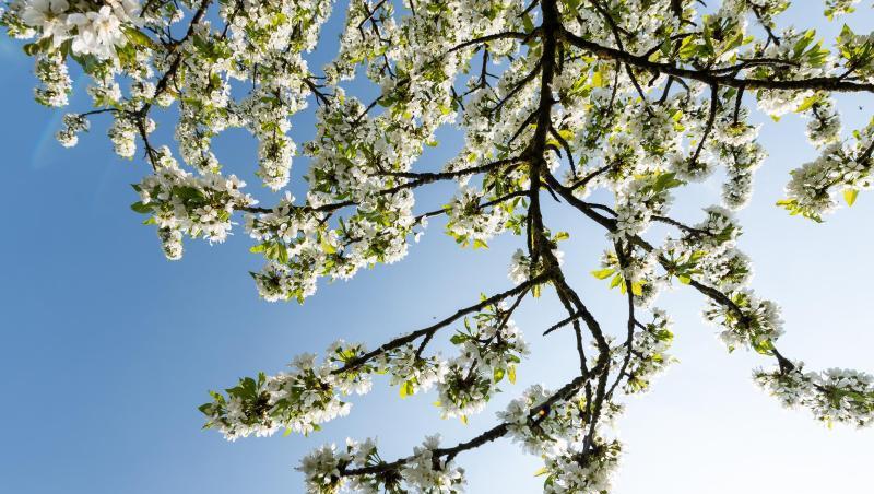 In weiten Teilen des Landes sollen die Osterfeiertage sonnig und warm werden. In weiten Teilen des Landes sollen die Osterfeiertage sonnig und warm werden.