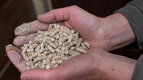 Verbände: Die Nutzung von Holz in Öfen gefährdet die Klimaziele und die Artenvielfalt.