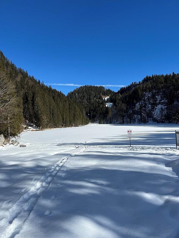 Nur zu Fuß kommt man zu dem kleinen Bergsee, der direkt an der Grenze zwischen Tirol und Bayern liegt.