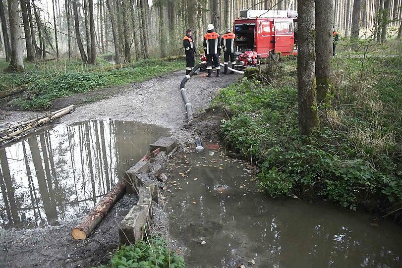 In der Nähe von Landshut standen am Freitagabend knapp 20.000 Quadratmeter Wald in Flammen. Rund 300 Einsatzkräfte waren bis tief in die Nacht im Einsatz, um den Brand unter Kontrolle zu bekommen.