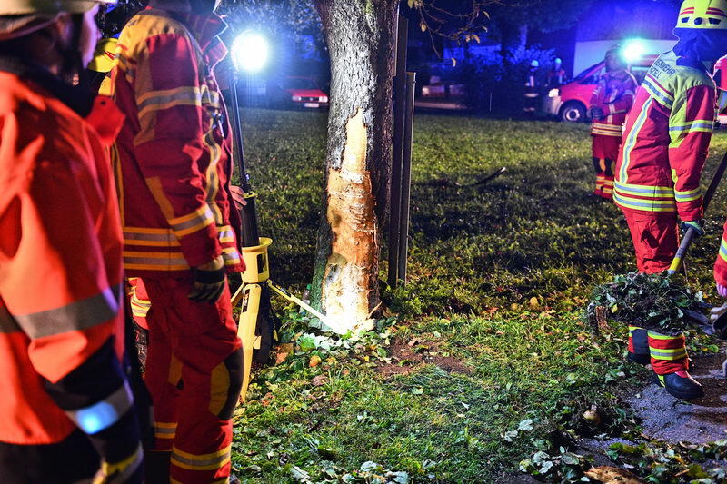 Der junge Autofahrer kam von der Straße ab und prallte gegen eine Baum.