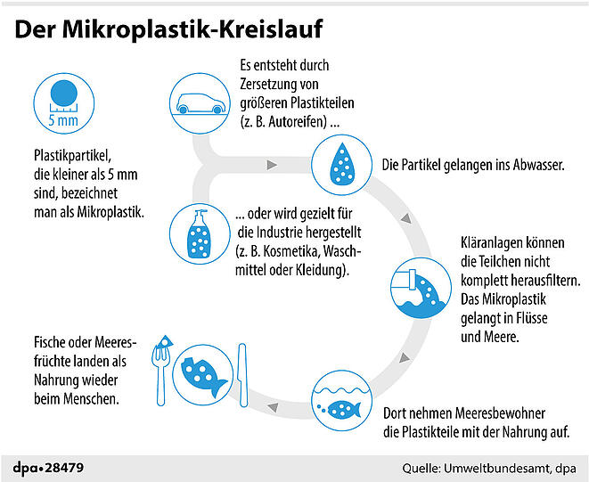 Der Mikroplastik-Kreislauf