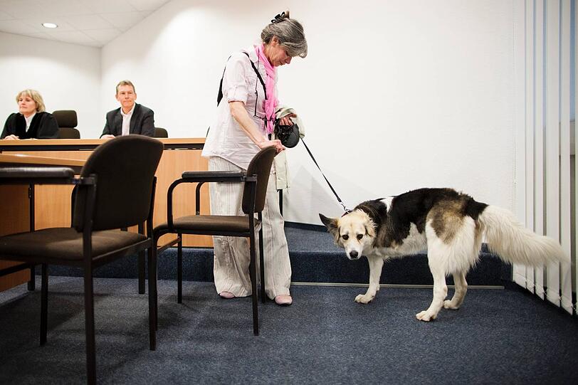 Will Kaya mit ins Büro nehmen: Hundebesitzerin Claudia van de Wauw.