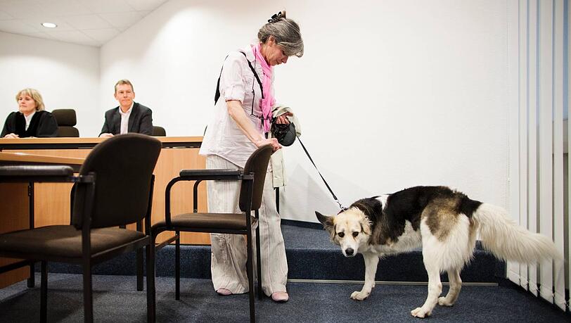 Will Kaya mit ins Büro nehmen: Hundebesitzerin Claudia van de Wauw. Will Kaya mit ins Büro nehmen: Hundebesitzerin Claudia van de Wauw.