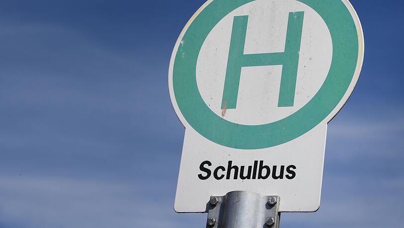 Warum der Schulbus gegen den Baum fuhr, war zunächst unklar. (Symbolbild)