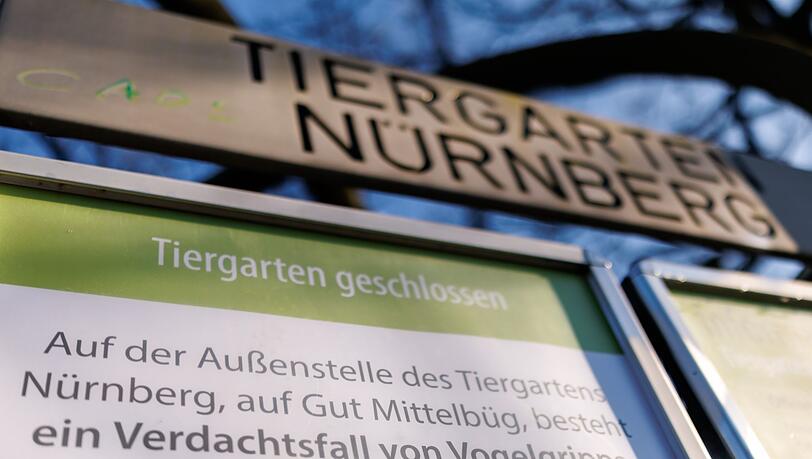 Wegen Vogelgrippe-Fällen bei Weißstörchen ist der Tiergarten Nürnberg aktuell geschlossen.
