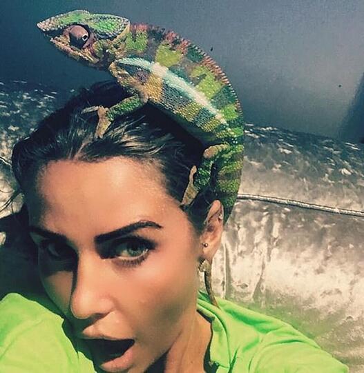 Katie Price mit einem Chamäleon auf dem Kopf.