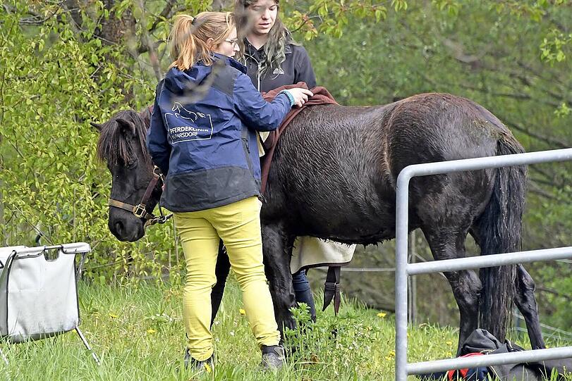 Die Shetland-Stute "Hastika" konnte von den Feuerwehrleuten gerettet werden.