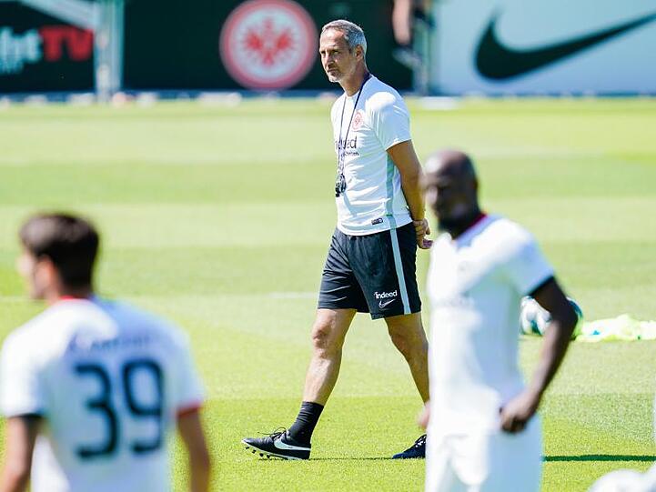 Frankfurts Trainer Adi Hütter muss mit seinem Team gegen Tallin antreten.