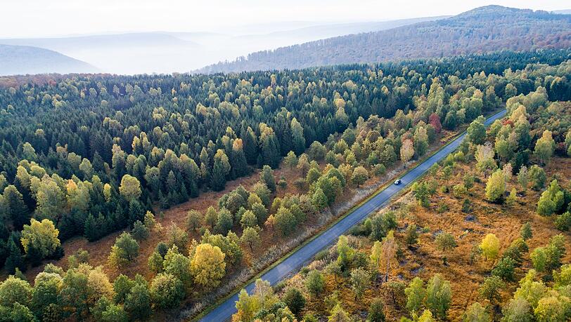 Die Forschenden empfehlen verschiedene Varianten, um das Klima zu schützen. (Symbolbild) Die Forschenden empfehlen verschiedene Varianten, um das Klima zu schützen. (Symbolbild)
