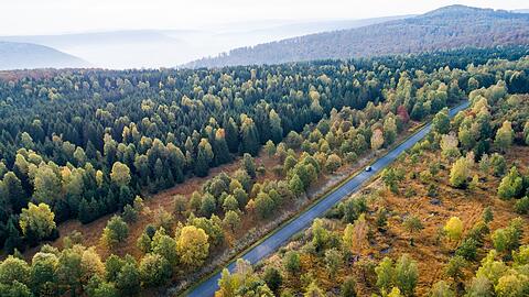 Die Forschenden empfehlen verschiedene Varianten, um das Klima zu schützen. (Symbolbild)