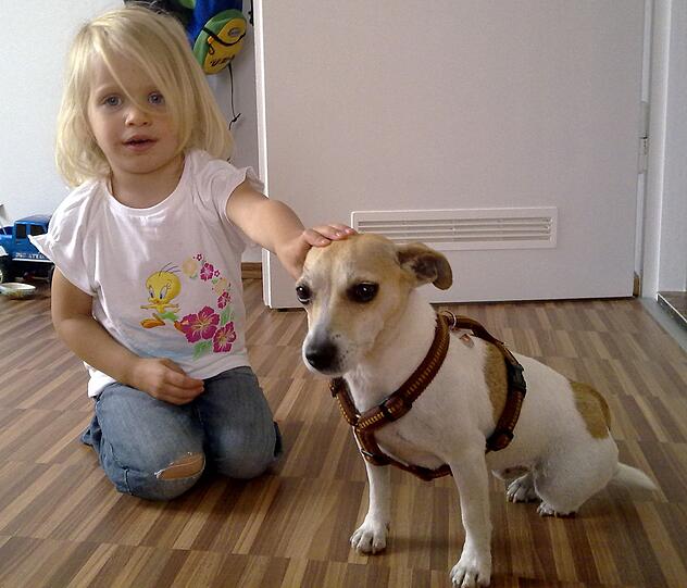 Die kleine Laura (4) hängt sehr an ihrem Hund Emmi. Der Terrier ist acht Jahre alt und wurde jetzt in Forchheim gestohlen.