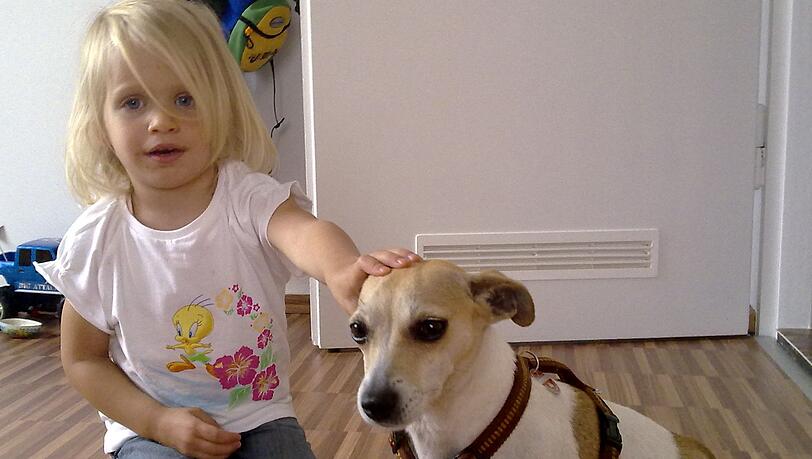 Die kleine Laura (4) hängt sehr an ihrem Hund Emmi. Der Terrier ist acht Jahre alt und wurde jetzt in Forchheim gestohlen. Die kleine Laura (4) hängt sehr an ihrem Hund Emmi. Der Terrier ist acht Jahre alt und wurde jetzt in Forchheim gestohlen.