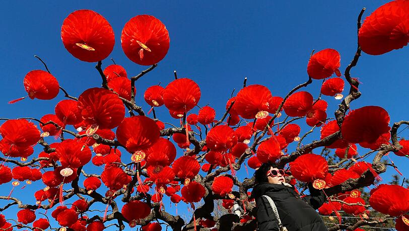 Der im Februar noch kahle Baum wird einfach mit roten Lampions geschmückt: am 8. Februar ist chinesisches Neujahr - und die Vorbereitungen dafür laufen auf Hochtouren. Der im Februar noch kahle Baum wird einfach mit roten Lampions geschmückt: am 8. Februar ist chinesisches Neujahr - und die Vorbereitungen dafür laufen auf Hochtouren.