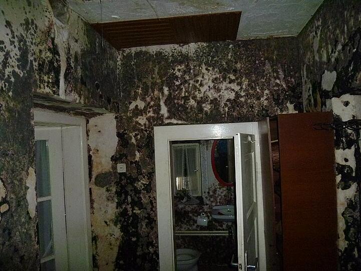 FLOß: Von außen betrachtet verströmt dieses Wohnhaus im Landkreis Neustadt an der Waldnaab ein gewisses Flair. Im Inneren dürfte es nach einem schweren Wasserschaden ziemlich muffeln. Denn an den Wänden hat sich Schimmel gebildet.