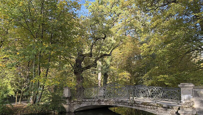 Verwunschene Ecken im herbstlichen Schlosspark. Verwunschene Ecken im herbstlichen Schlosspark.