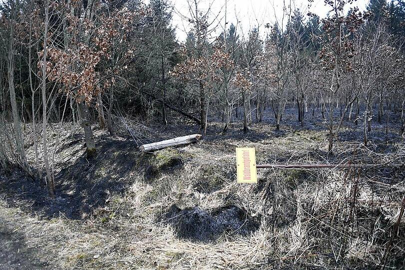 25.3.2018, 15:30 Uhr: Perlacher Wald, Waldtrudering, 5000 qm
