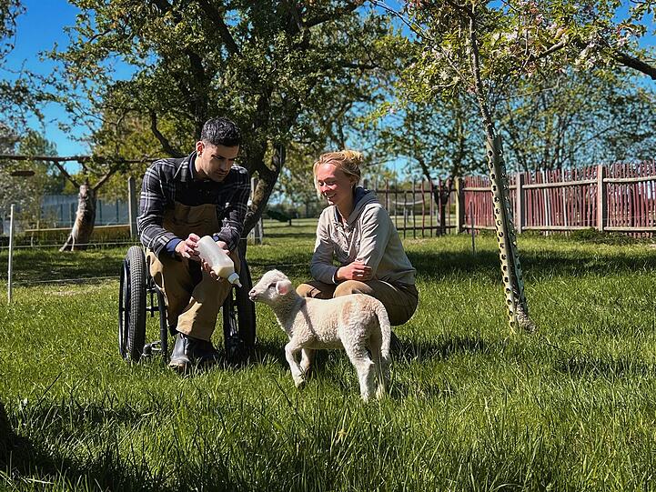 Gemeinsam mit Lydia Praters füttert Tan Caglar die Schafe. Gemeinsam mit Lydia Praters füttert Tan Caglar die Schafe.